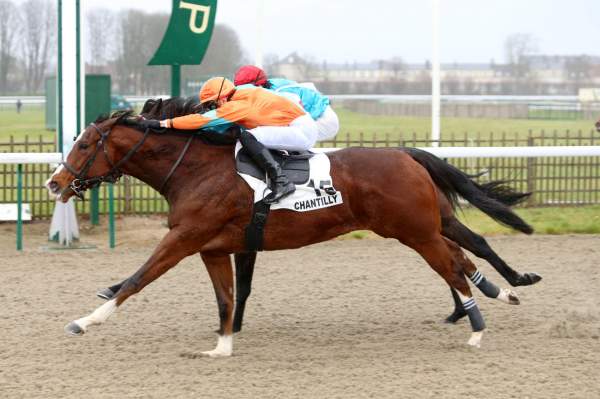 Darshano Quinté+ Pmu Prix de la Piste des Lions 2019 à Chantilly