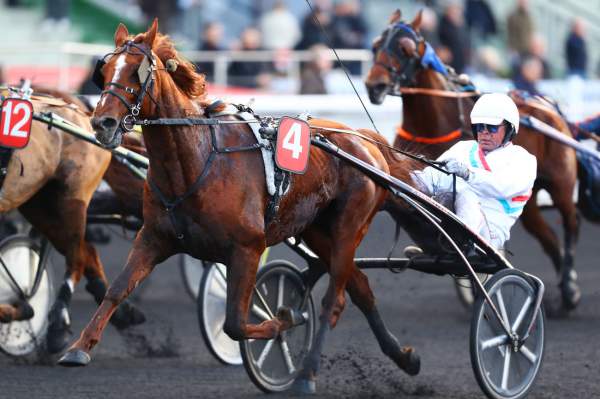 Moni Viking Course Pmu Prix du Comité Régional d'Equitation Idf 2019 à Paris-Vincennes