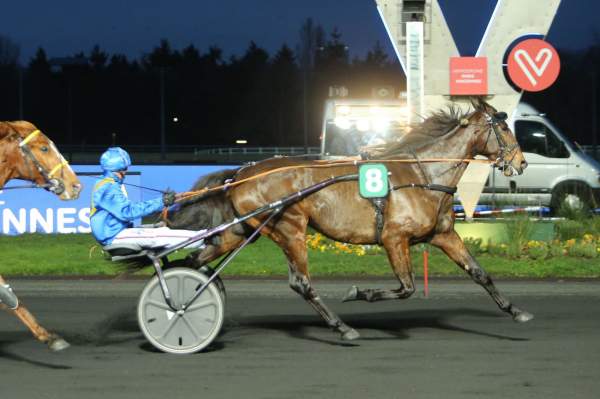 Helena Di Quattro Course Pmu Prix de Tence 2019 Ã Paris-Vincennes
