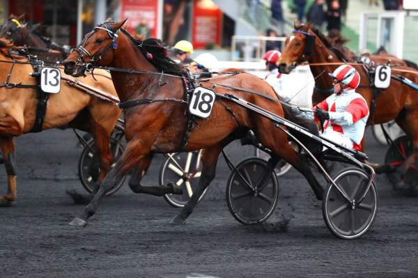 Cerenzo Turbo Quinté+ Pmu PRIX DE LA GIRONDE 2019 à Paris-Vincennes
