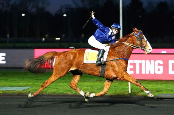 BREEDER'S CUP