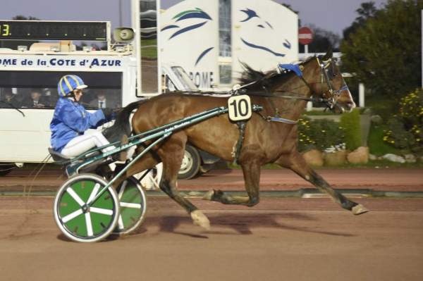 ABRICOT DU BUGEY