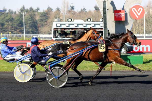 Valokaja Hindo Quinté+ Pmu PRIX DU CANTAL à Vincennes