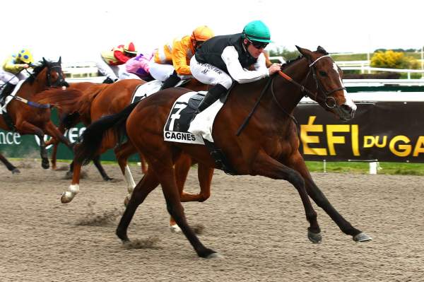 Thalyia Quinté+ PMU PRIX STAR APPEAL à Cagnes sur Mer