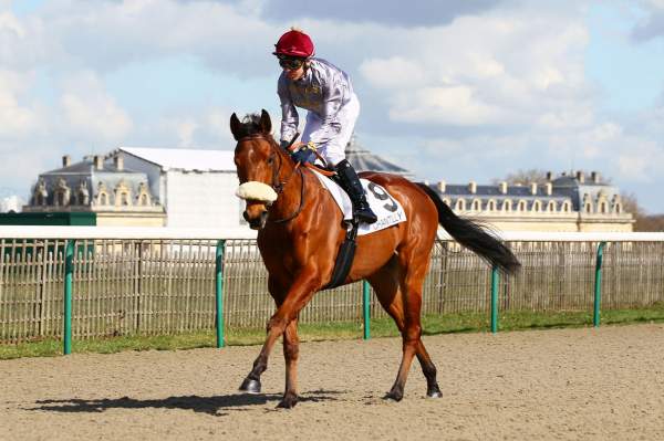 AL MARROUNA 