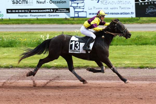 ENABLE DREAM