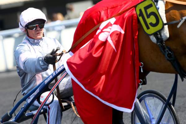 Erminig D'Oliverie Critérium des 4-ans 2018, Franck NIVARD