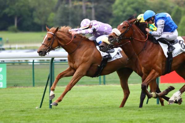 Kayenne Quinté+ Pmu PRIX DE LA PLACE VENDOME à ParisLongchamp