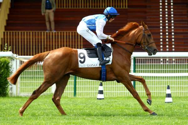 STARIFIQUE