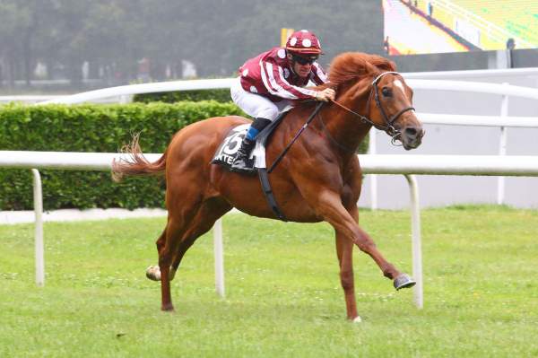 Qatar Bolt Quinté+ Pmu GRAND PRIX SYNERGIE 2019 à Nantes