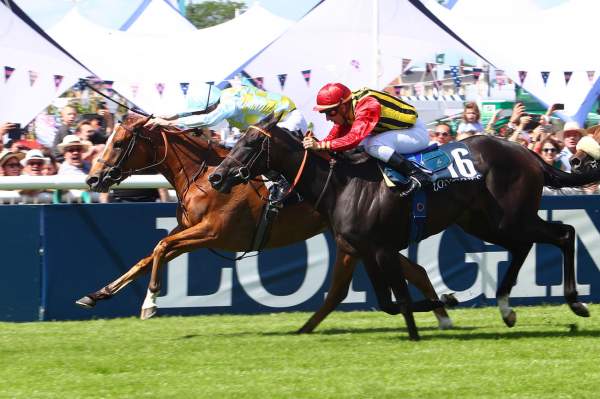Channel PRIX DE DIANE LONGINES - G1 - QUINTE + -HIPPODROME DE CHANTILLY
16/06/2019