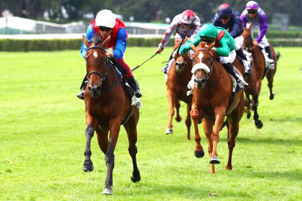 Mehdaayih Course Pmu PRIX DE MALLERET 2019 Ã Saint-Cloud