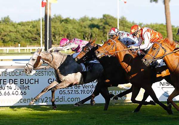 Rebel Lightning Quinté+ PRIX DU BASSIN D'ARCACHON 2019 à La Teste de Buch
