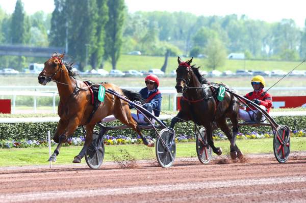 Bold Eagle Aubrion Du Gers