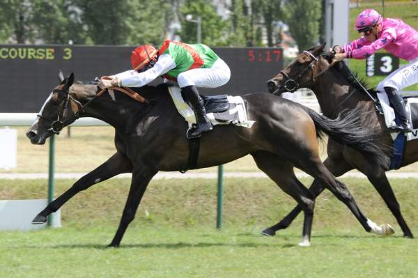AMAZING FILLY