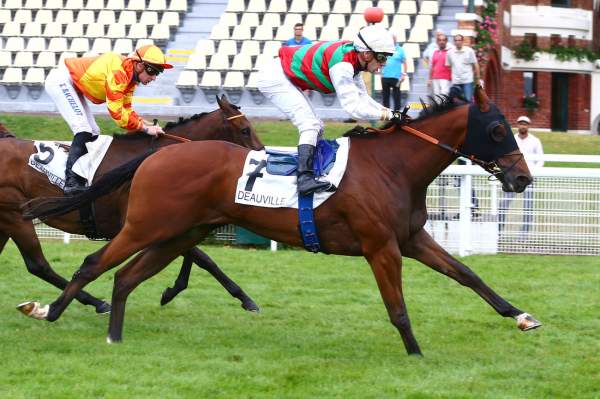 JOUET D'OR