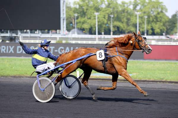 CHAMPION DU LUPIN