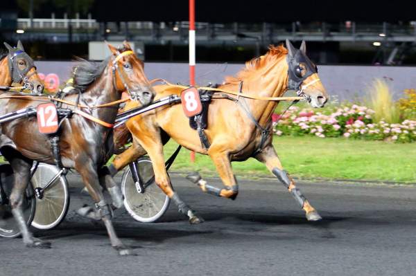 GRECO ROMAINE