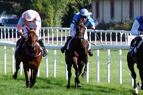 FURIA FRANCESE
