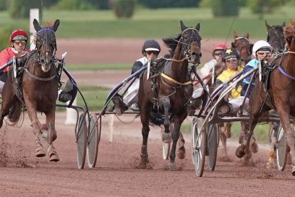 HORUS DES CHAMPS