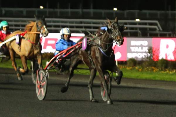 GELINOTTE TURGOT