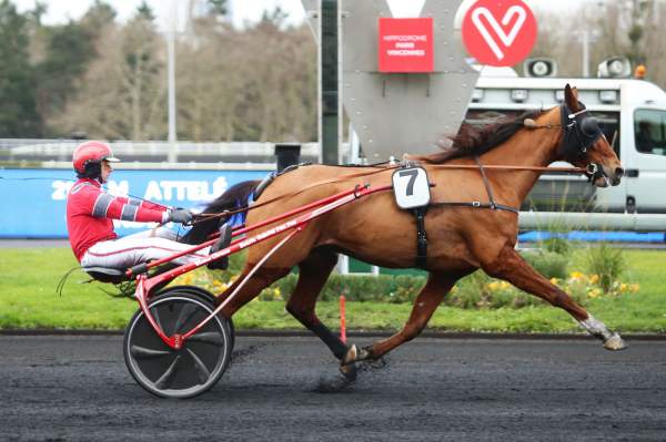 Caliu Des Bosc