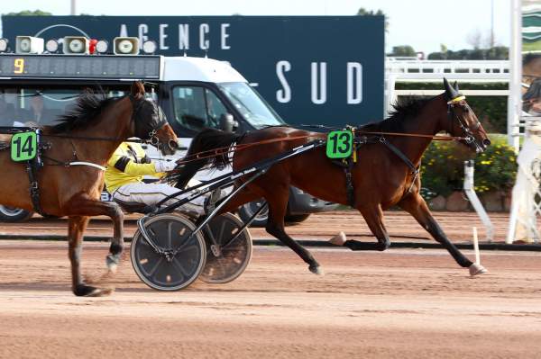 Elsa De Belfonds Quinté+ Pmu Prix Une de Mai 2020 à Cagnes-sur-Mer
