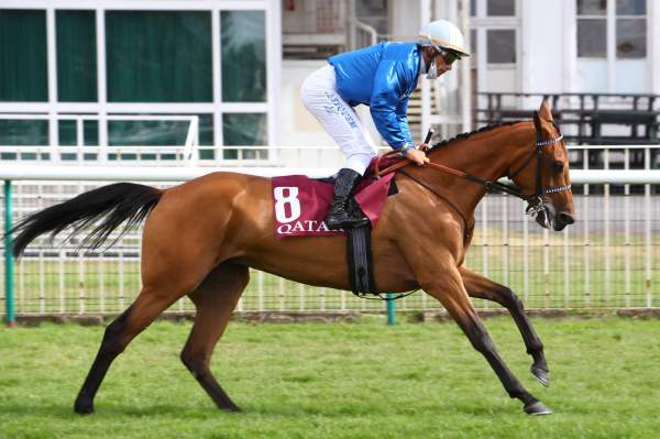 MISS BOUM AL MAURY