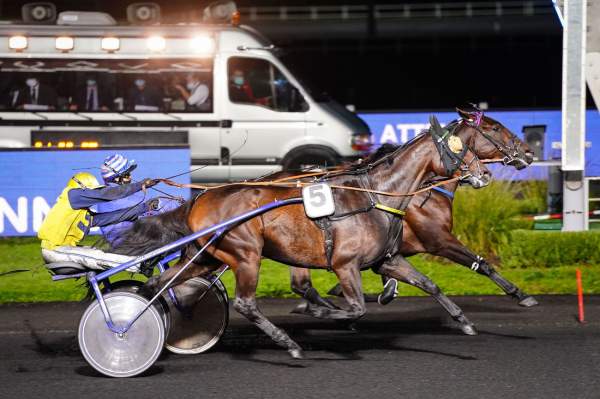Django Du Bocage Quinté+ Pmu Prix Charley Mills 2020 à Vincennes