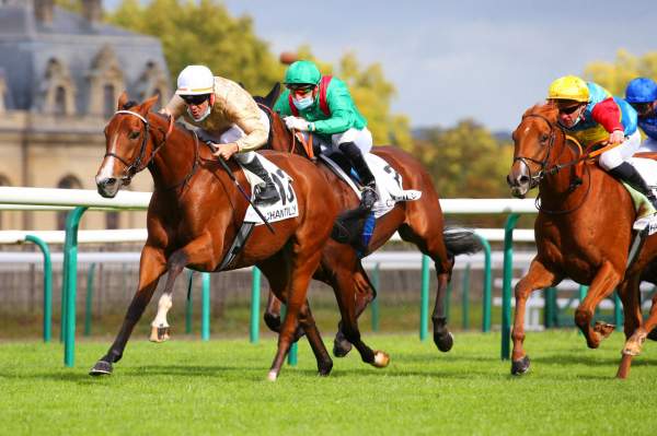 Haliphon Quinté+ Pmu Prix de la Chambre de Monsieur-le-Prince 2020 à Chantilly