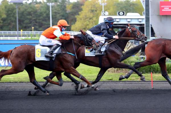 Houston De Blary Course Pmu Prix Phact 2020 à Vincennes