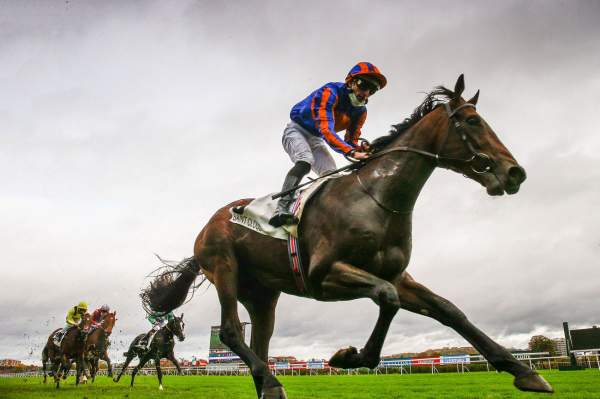 Van Gogh Course PMU Criterium International Hippodrome de Saint Cloud 24/10/2020
