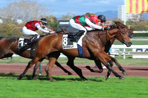 Kayrat Quinté+ Pmu Handicap de Marseille 2020 à Borély