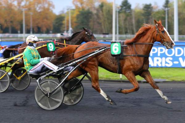 Dorgos De Guez Course Pmu Prix des Cévennes 2020 à Vincennes
