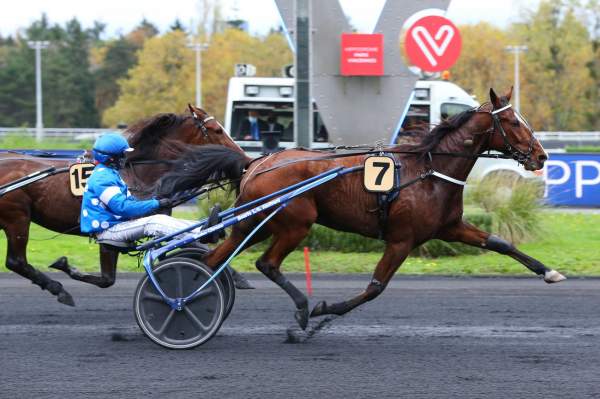 Brillant Madrik Quinté+ Pmu Prix d'Arcachon 2020 à ParisVincennes