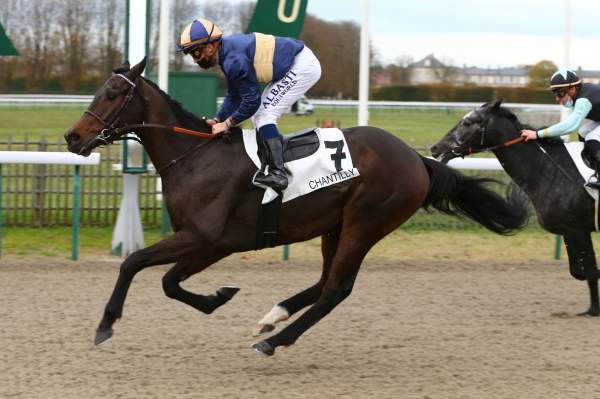 LE REVEUR FOU