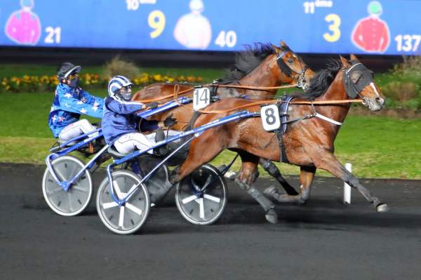 Forum Meslois Quinté PMU Prix Arietis hippodrome de Vincennes 20/11/2020