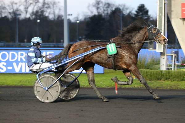 IDYLLE WINNER
