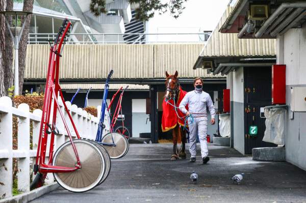 Hippodrome Vincennes Sulky