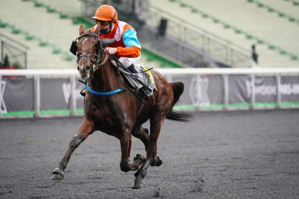 Hope On Victory Course Pmu Prix Raoul Ballière 2020 à Paris Vincennes