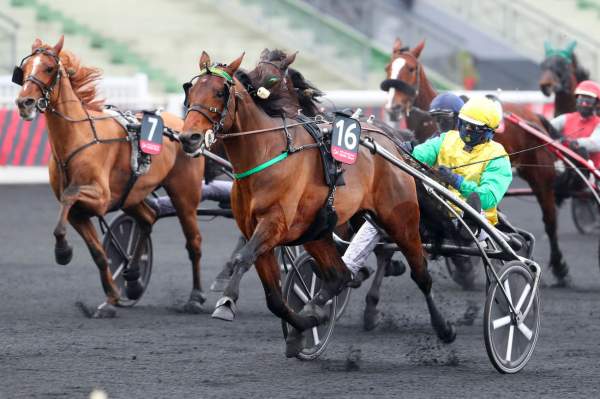Face Time Bourbon Quinté PMU Prix d'Amérique Races ZEturf Qualif2 Prix du Bourbonnais hippodrome de Vincennes 13/12/2020