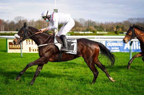 AMAZING FILLY