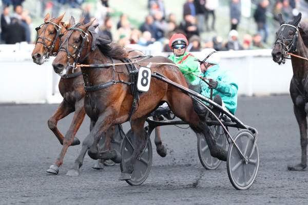 Violetto Jet Course Pmu Prix de Rouen 2020 Ã Paris-Vincennes