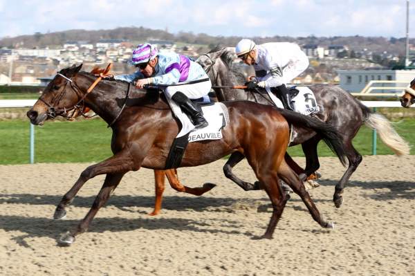Ficelle Du Houley Quinté+ Pmu Prix Dunette 2020 à Deauville