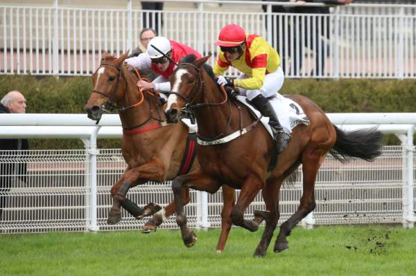 Denomedenuo Quinté+ Pmu Prix Univers II 2020 à Auteuil