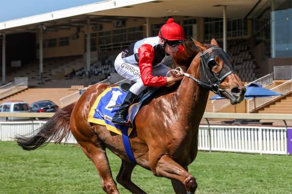 Hippodrome De Scottsville (afrique Du Sud)