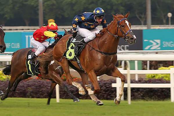 LIM'S SPIN