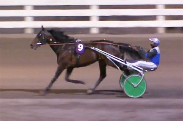 Ad Hoc Quinté+ Pmu Prix Jorky à Orebro