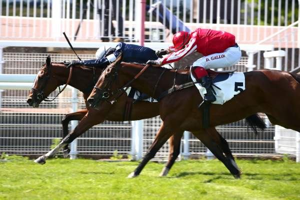 La Doix Course Pmu Pick5 Prix d'Arles à Auteuil