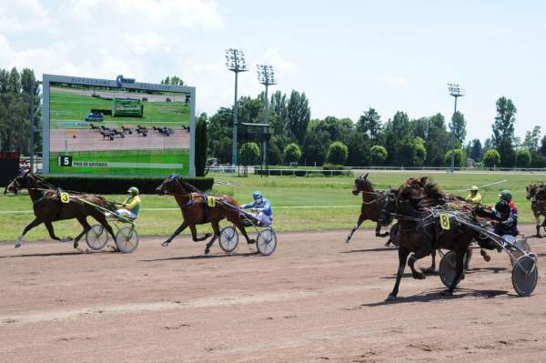 Dry Oaks Quinté+ Pmu Prix de Grosbois 2020 à Vichy
